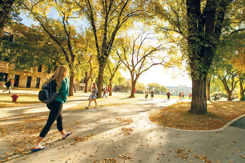 Students walking outdoors with fall leaves on the ground.