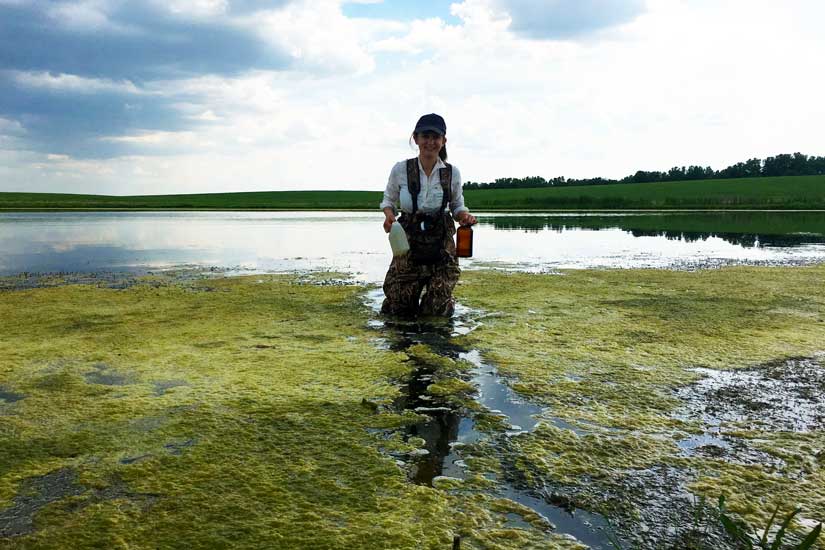 Image of female researcher standing out in the water